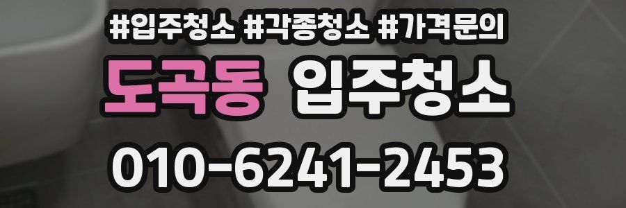 도곡동 이사청소