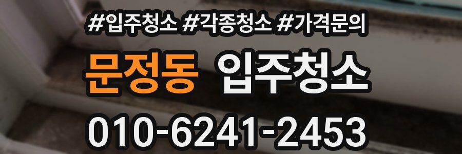 문정동 이사청소