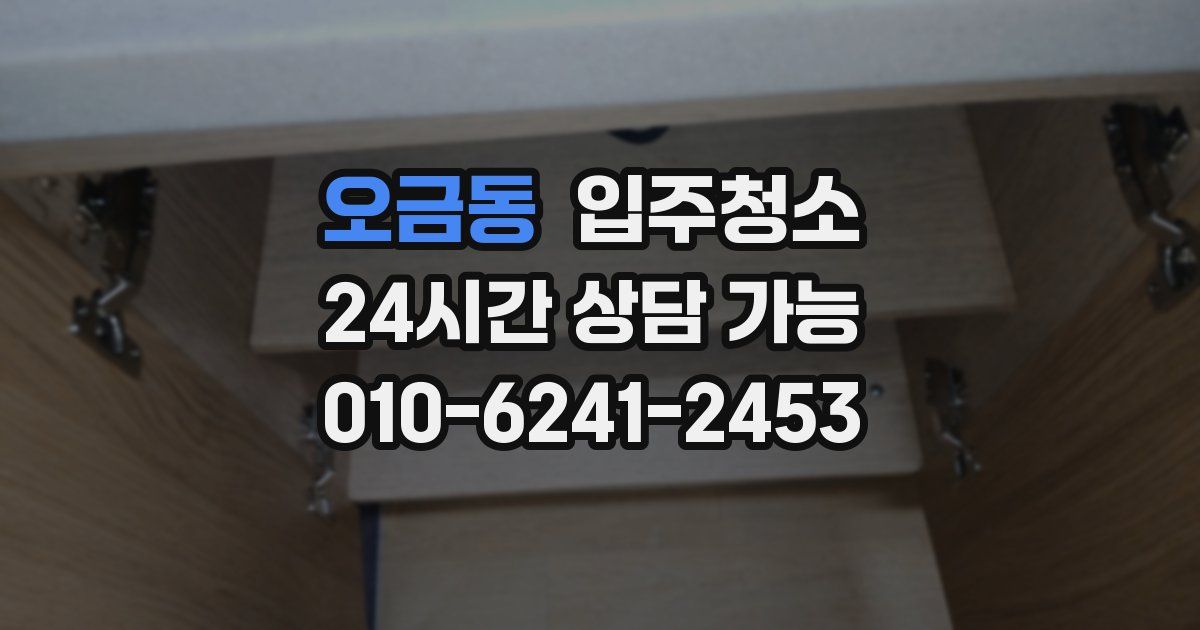 오금동 입주청소