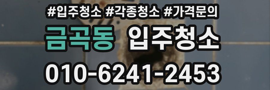 금곡동 이사청소