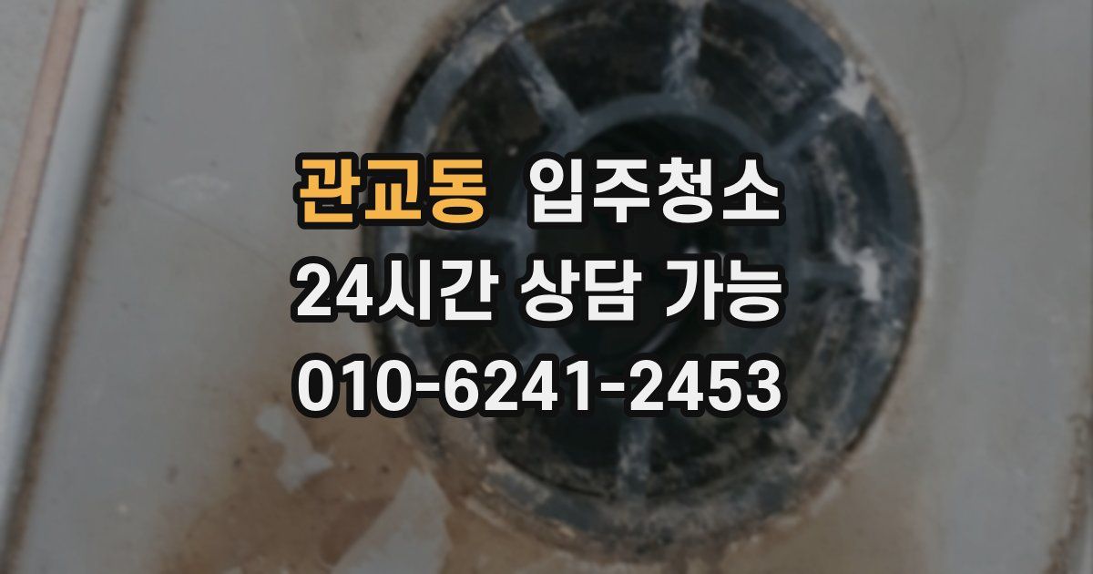 관교동 입주청소