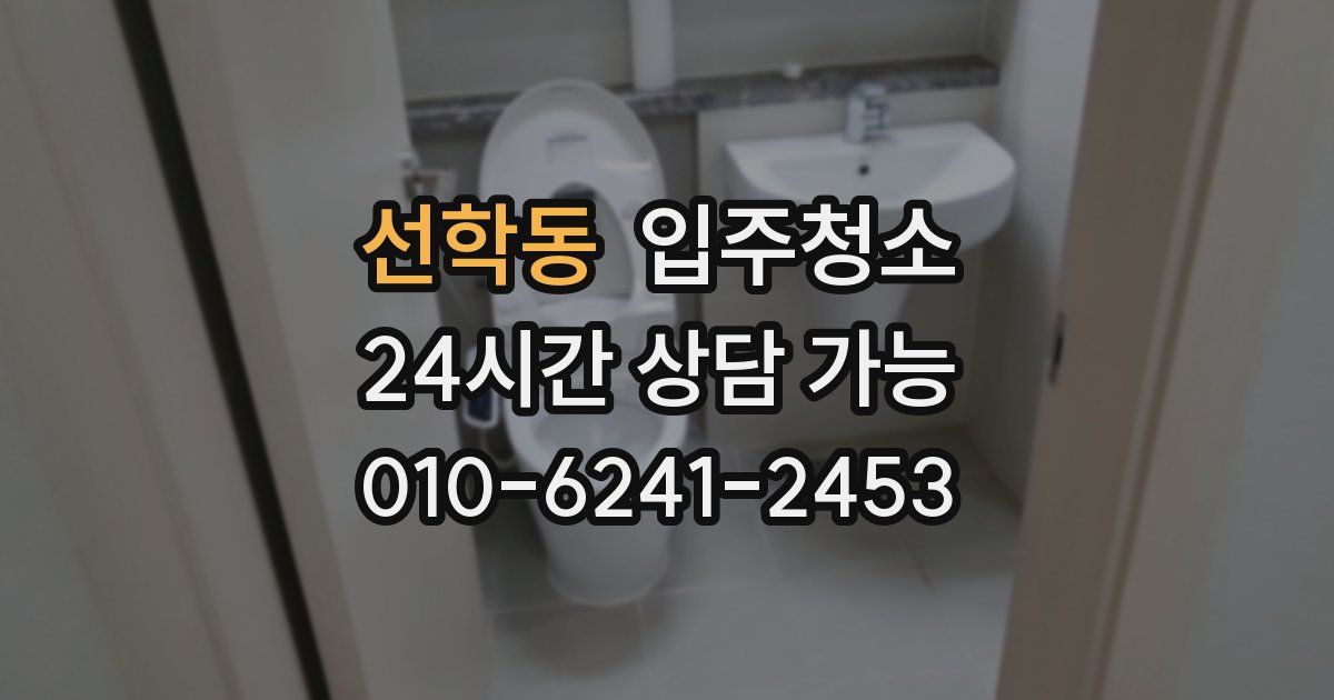 선학동 입주청소