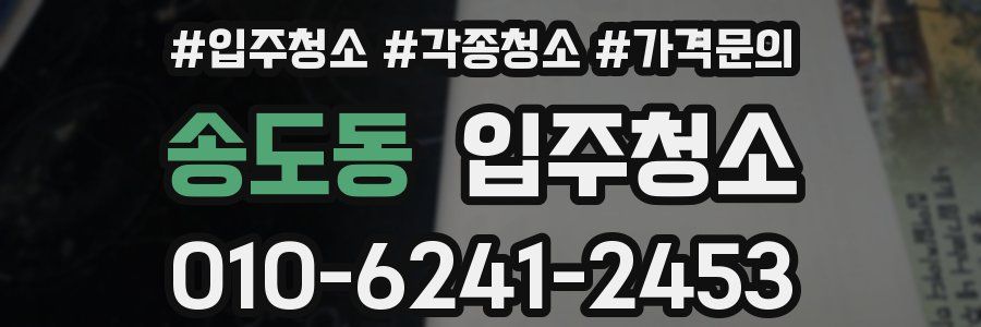 송도동 이사청소