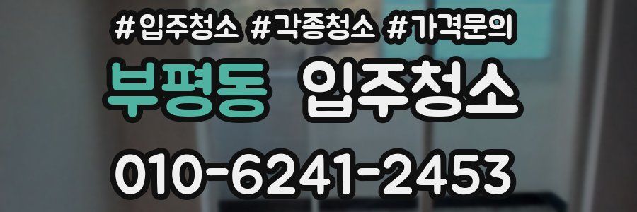 부평동 이사청소