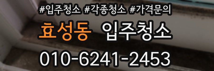 효성동 이사청소