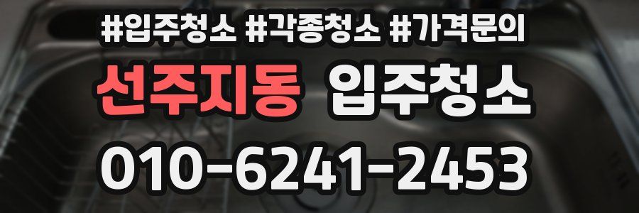 선주지동 이사청소