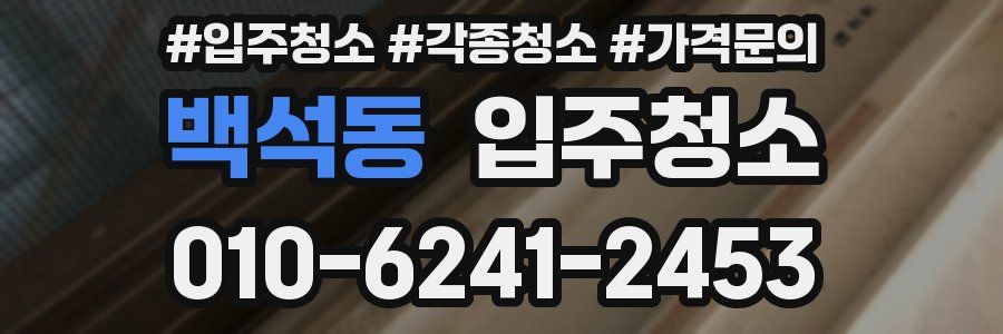 백석동 이사청소