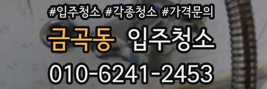 금곡동 이사청소