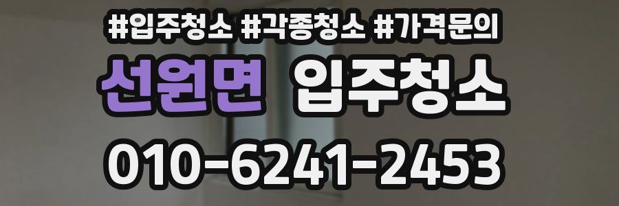 선원면 이사청소