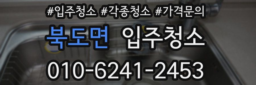 북도면 이사청소