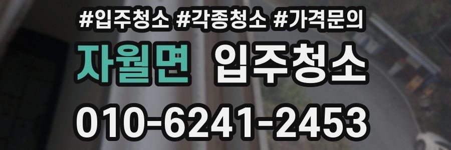 자월면 이사청소