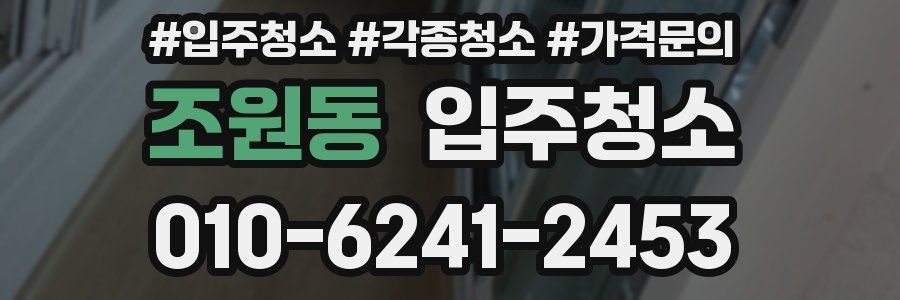 조원동 이사청소