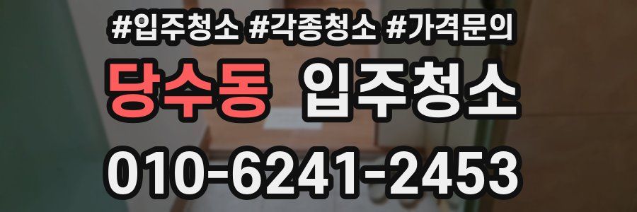 당수동 이사청소