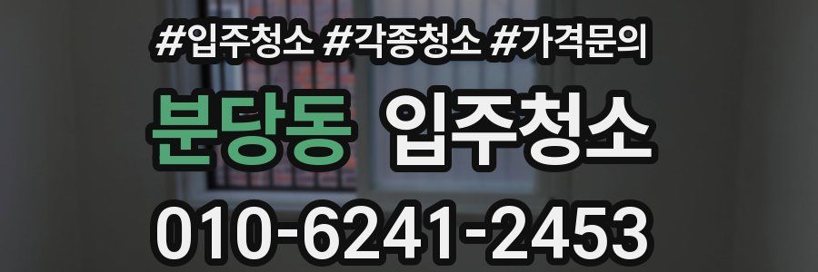 분당동 이사청소