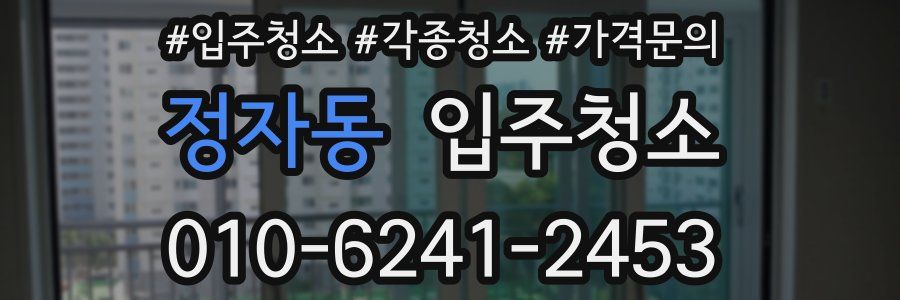 정자동 이사청소