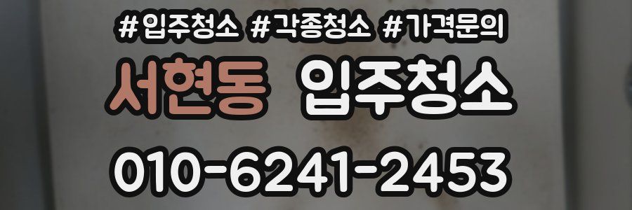 서현동 이사청소