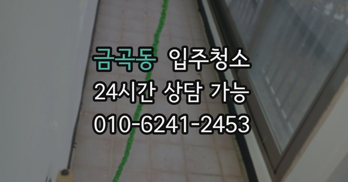 금곡동 입주청소