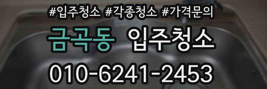 금곡동 이사청소