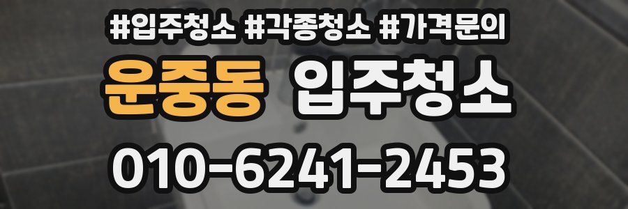 운중동 이사청소