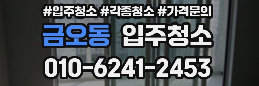 금오동 이사청소