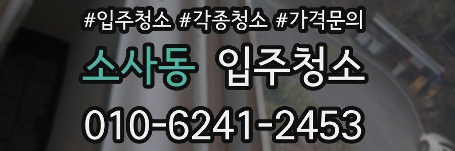 소사동 이사청소