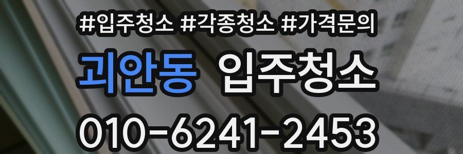 괴안동 이사청소