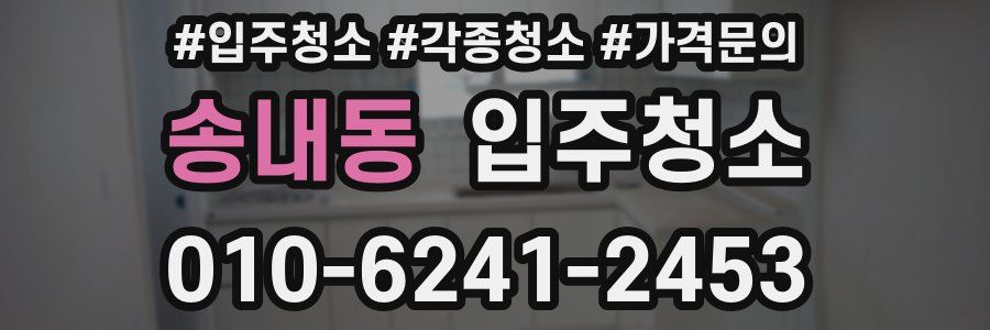 송내동 이사청소