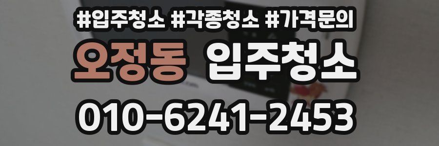 오정동 이사청소