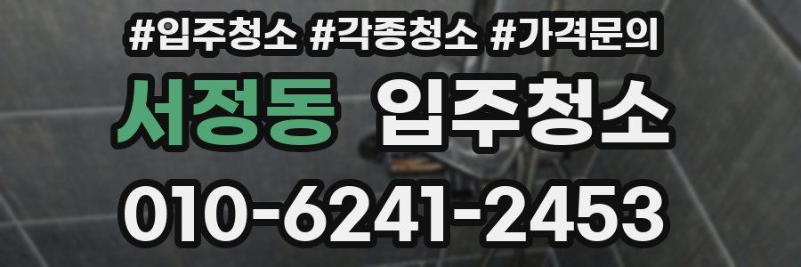 서정동 이사청소