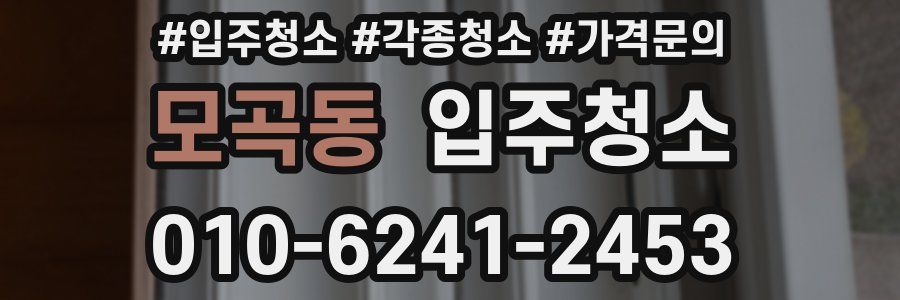 모곡동 이사청소