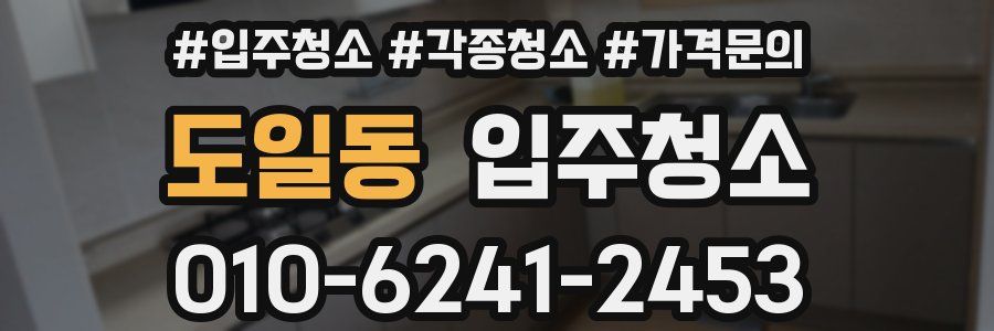 도일동 이사청소