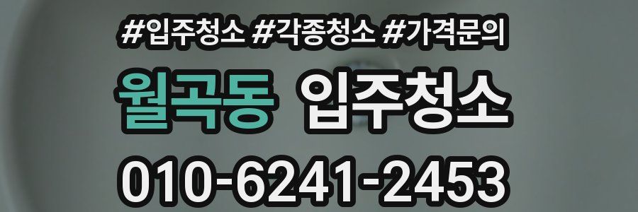 월곡동 이사청소