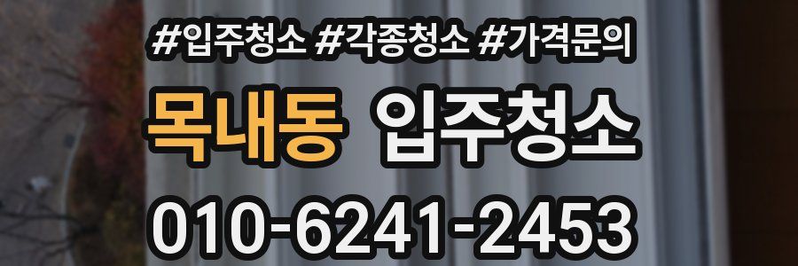 목내동 이사청소