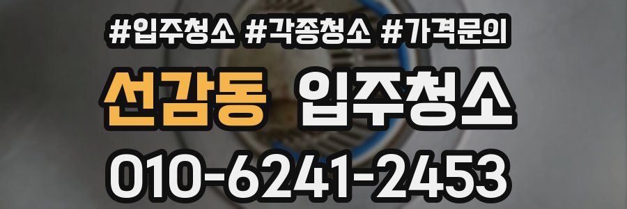 선감동 이사청소