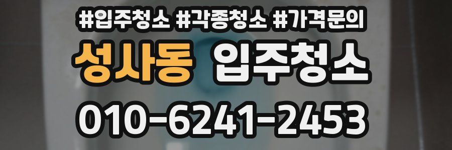 성사동 이사청소