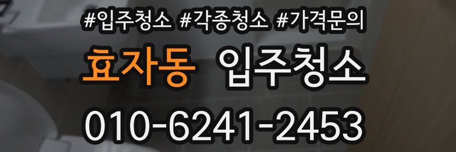 효자동 이사청소