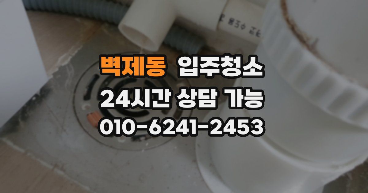 벽제동 입주청소