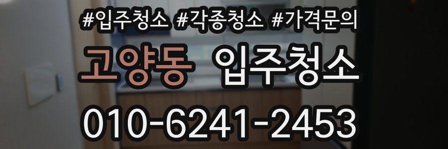 고양동 이사청소