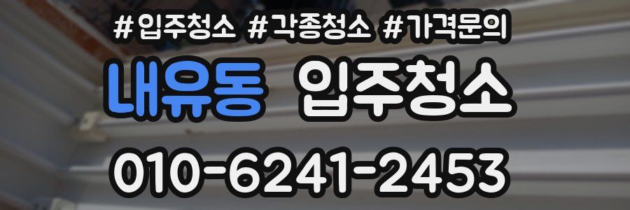 내유동 이사청소