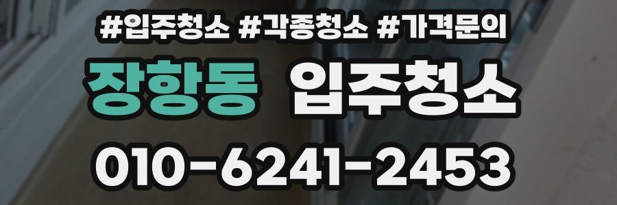 장항동 이사청소