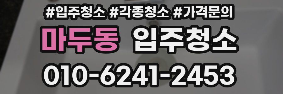 마두동 이사청소