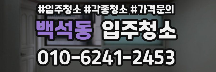 백석동 이사청소