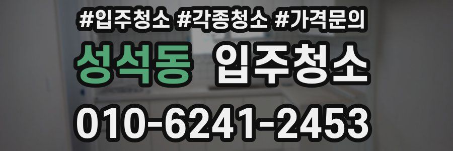 성석동 이사청소