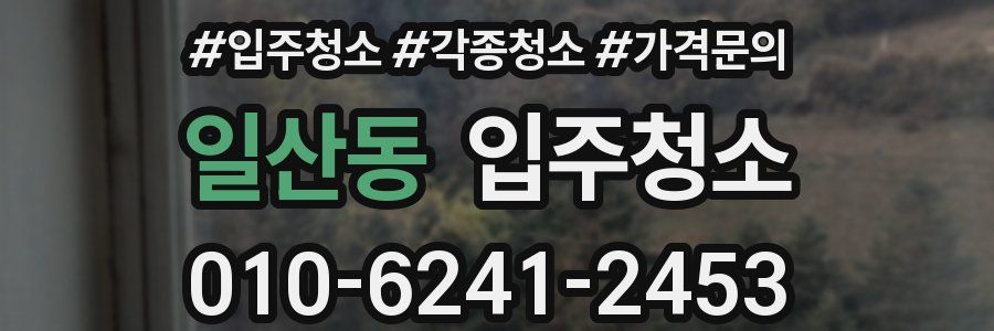 일산동 이사청소