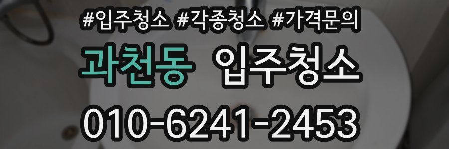 과천동 이사청소