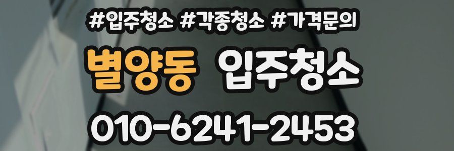 별양동 이사청소