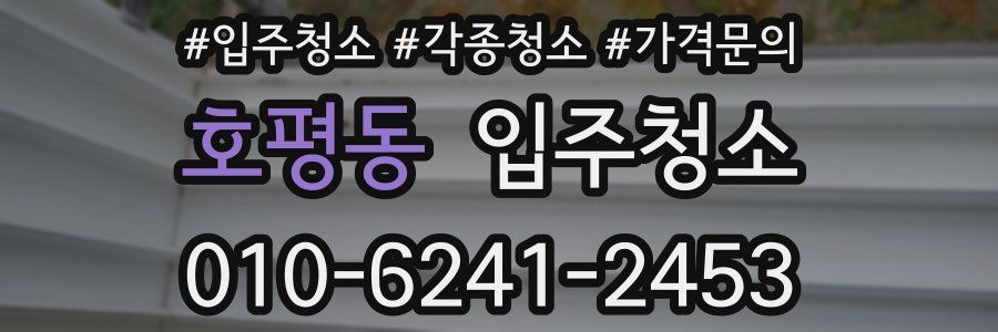 호평동 이사청소