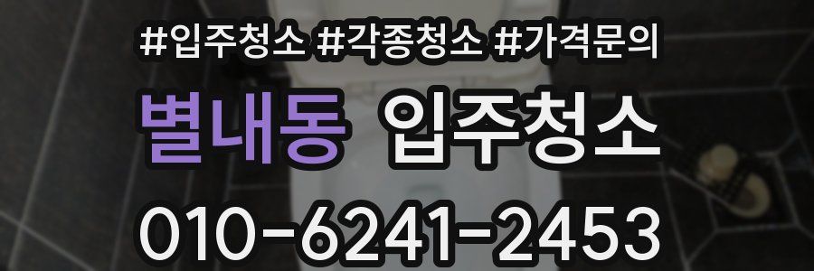 별내동 이사청소