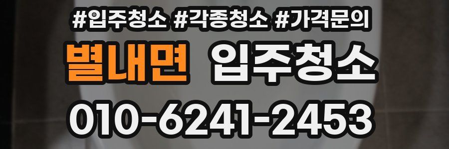 별내면 이사청소