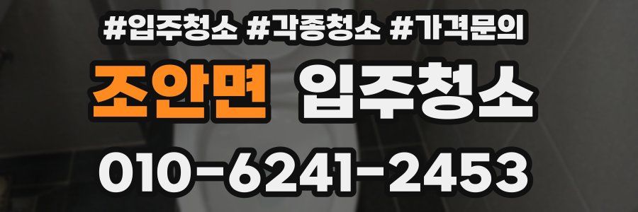 조안면 이사청소